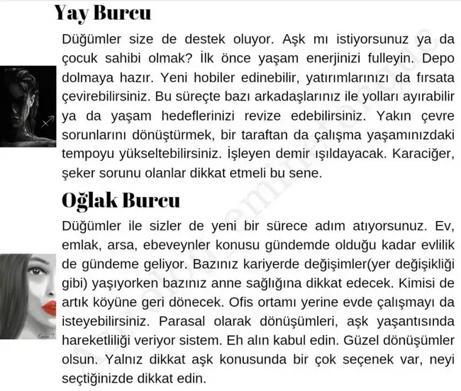ay43 (5).webp