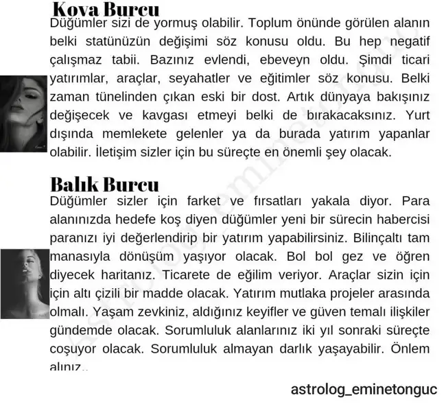 ay43 (6).webp