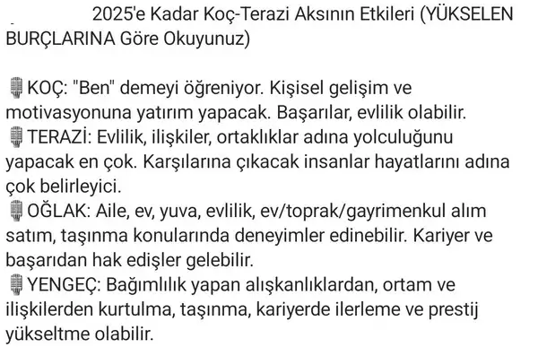 ay43 (8).webp