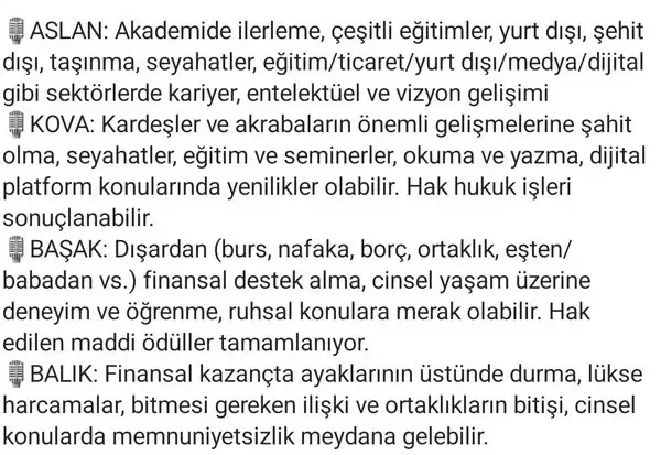 ay43 (9).webp