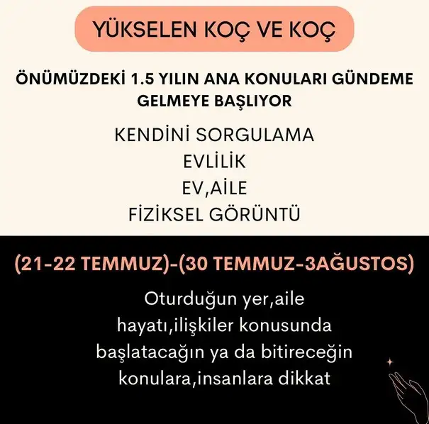 ay44 (1).jpg