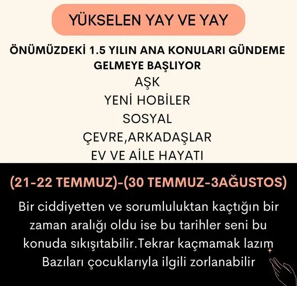 ay44 (10).webp