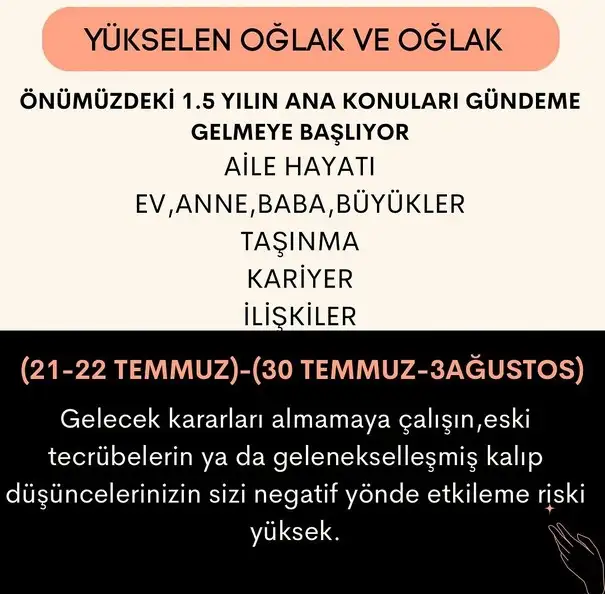 ay44 (11).webp