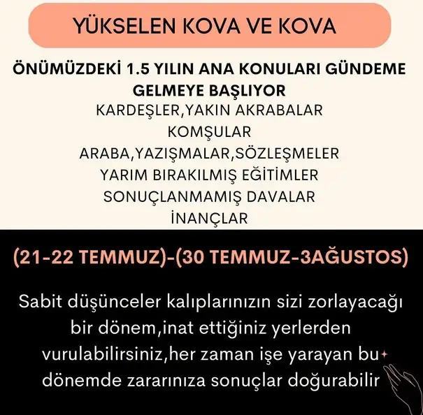 ay44 (12).webp