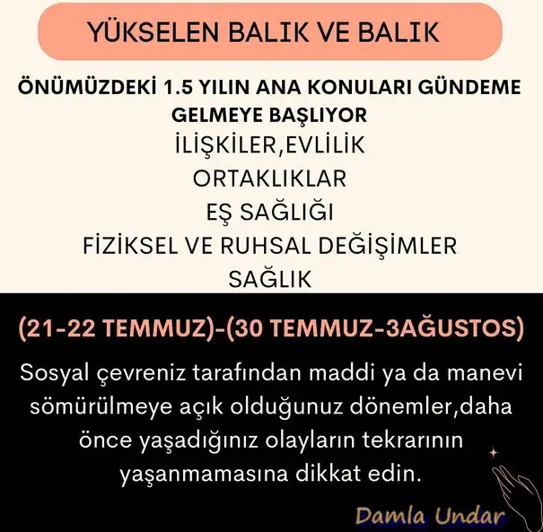 ay44 (13).webp