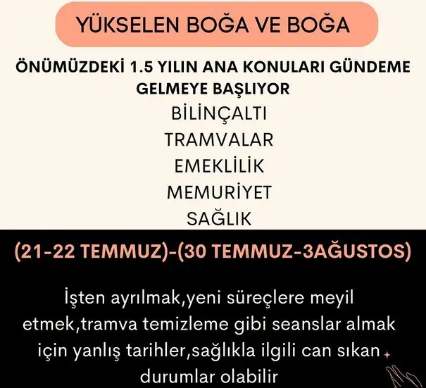 ay44 (3).jpg