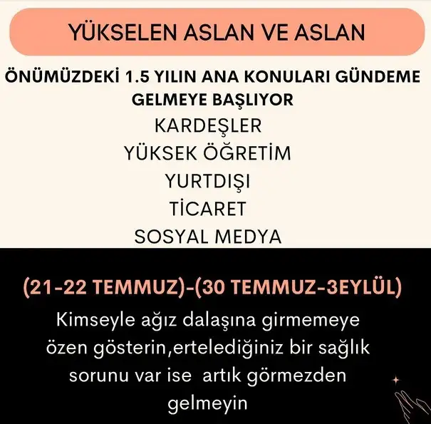 ay44 (6).webp
