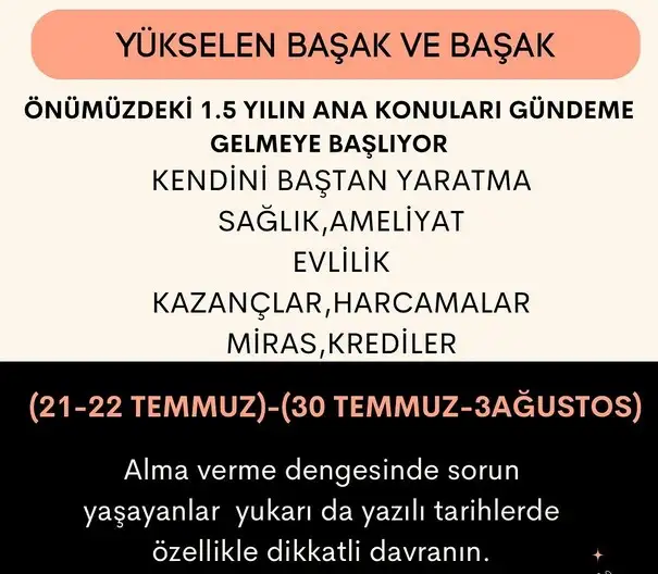ay44 (7).webp