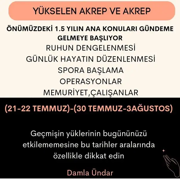 ay44 (9).webp