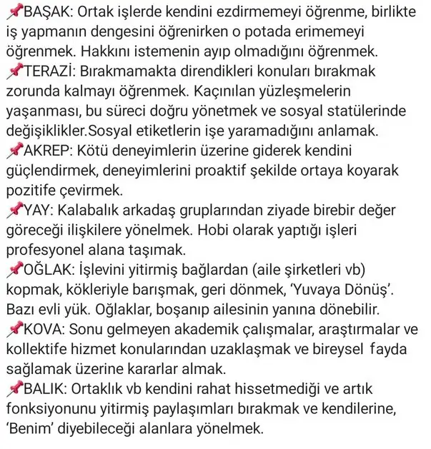 ay45 (2).webp
