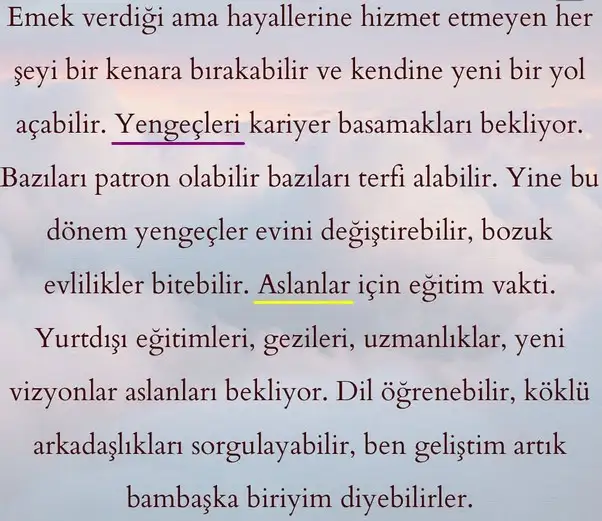 ay45 (2).webp