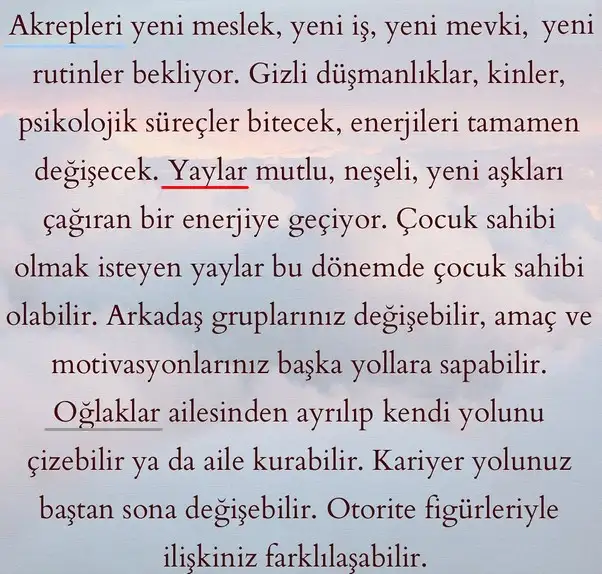 ay45 (4).webp