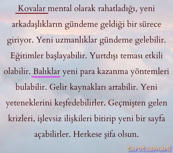 ay45 (5).webp