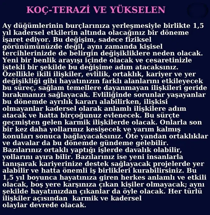 ay46 (2).webp