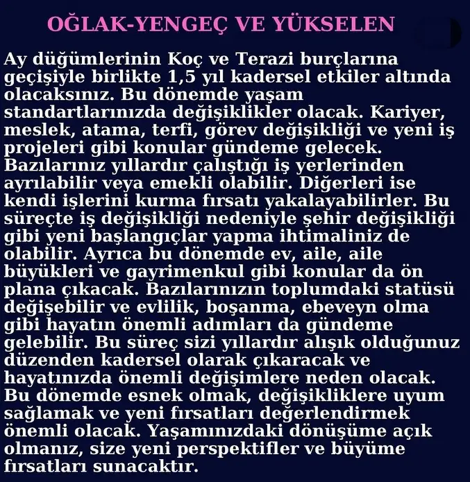 ay46 (3).webp
