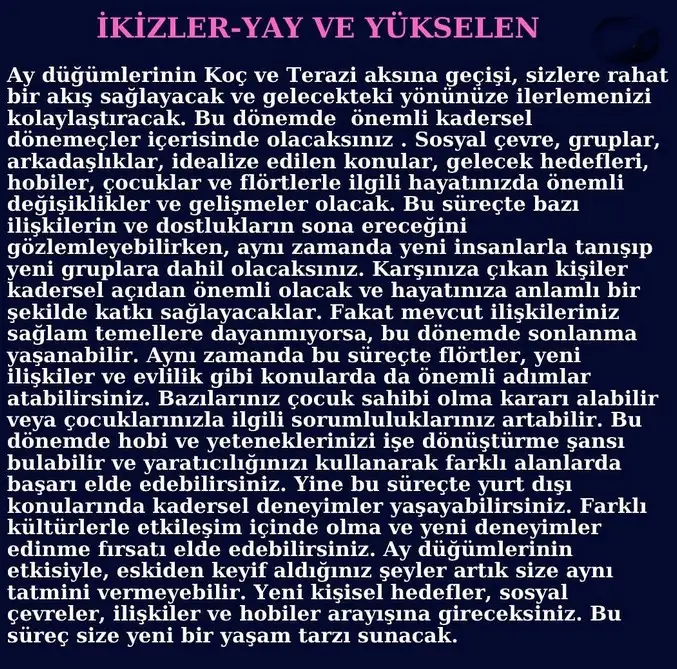 ay46 (6).webp