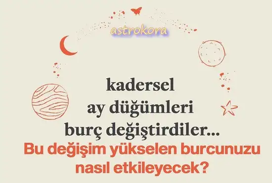 ay47 (1).webp