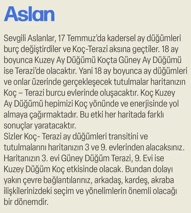 ay47 (10).webp
