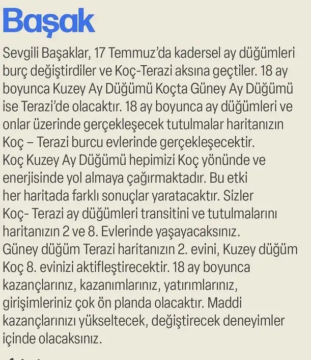 ay47 (12).webp