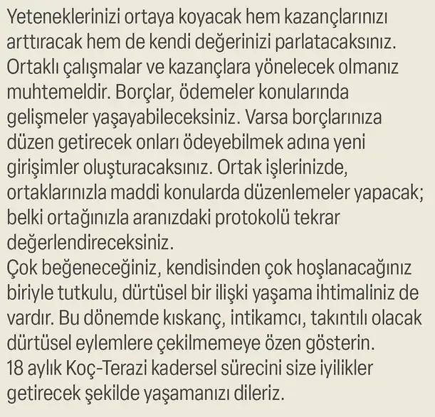ay47 (13).webp