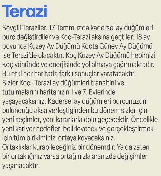 ay47 (14).webp
