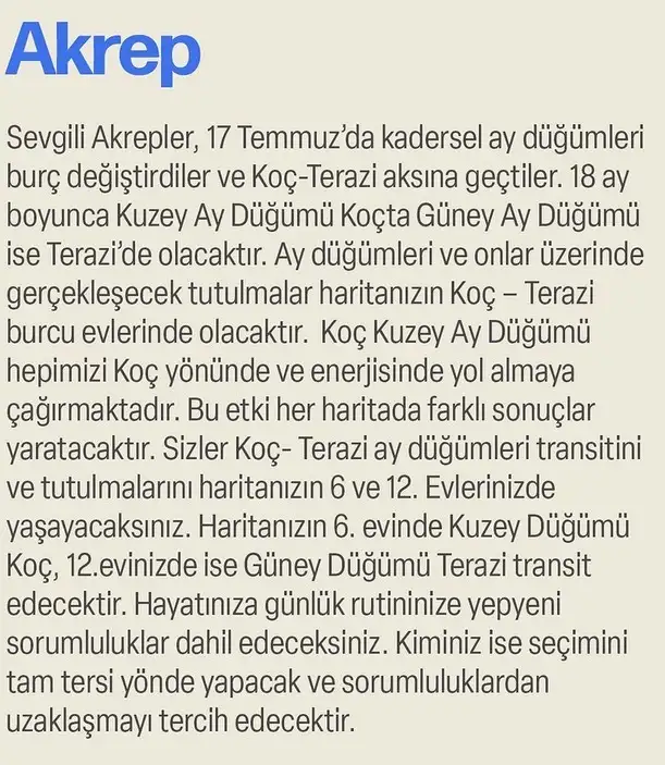 ay47 (16).webp