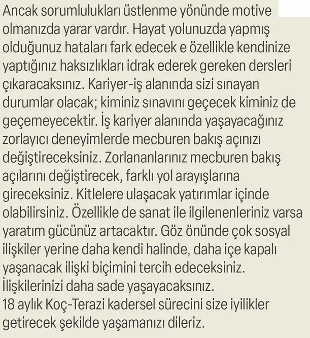 ay47 (17).webp