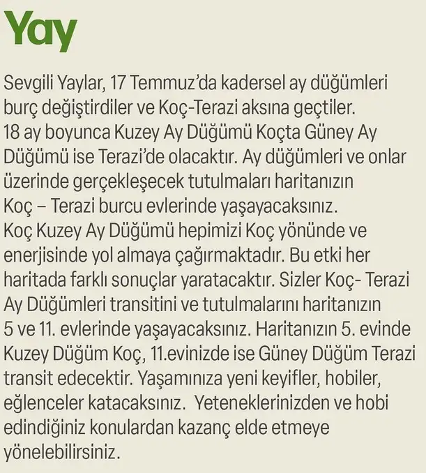 ay47 (18).webp