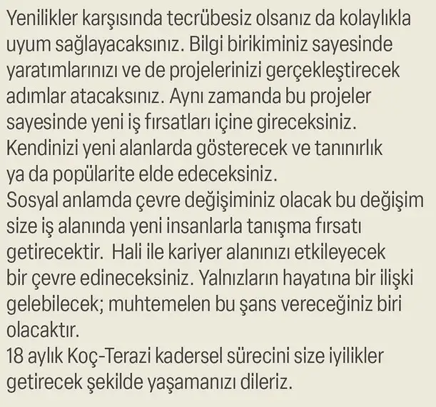 ay47 (19).webp