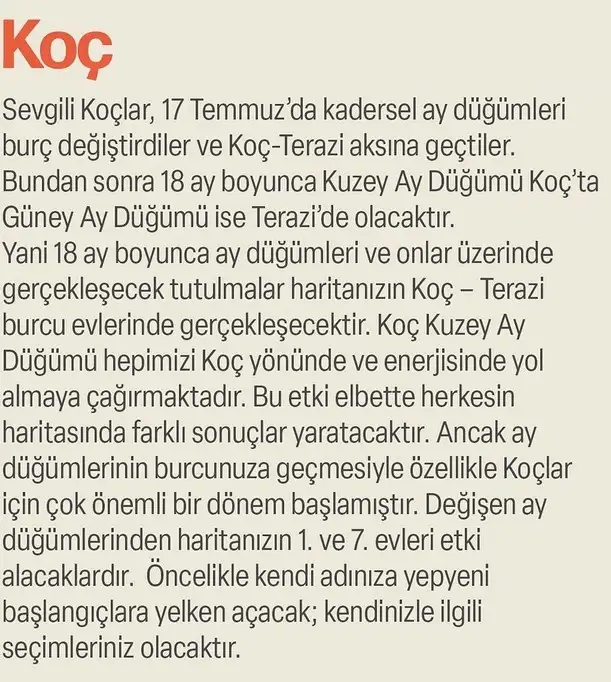ay47 (2).webp