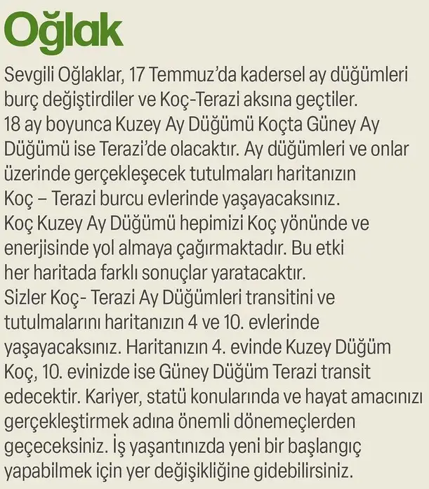 ay47 (20).webp