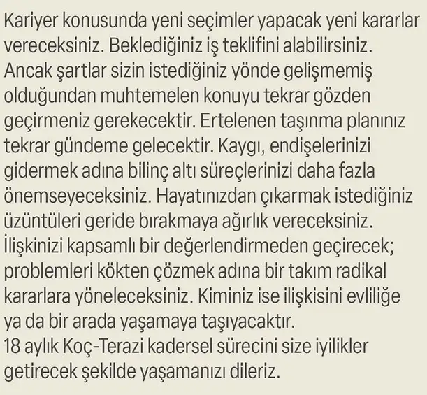 ay47 (21).webp