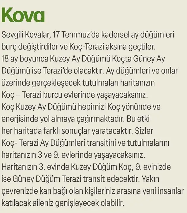 ay47 (22).webp