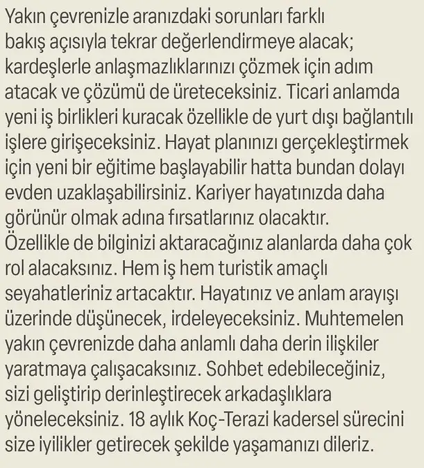 ay47 (23).webp