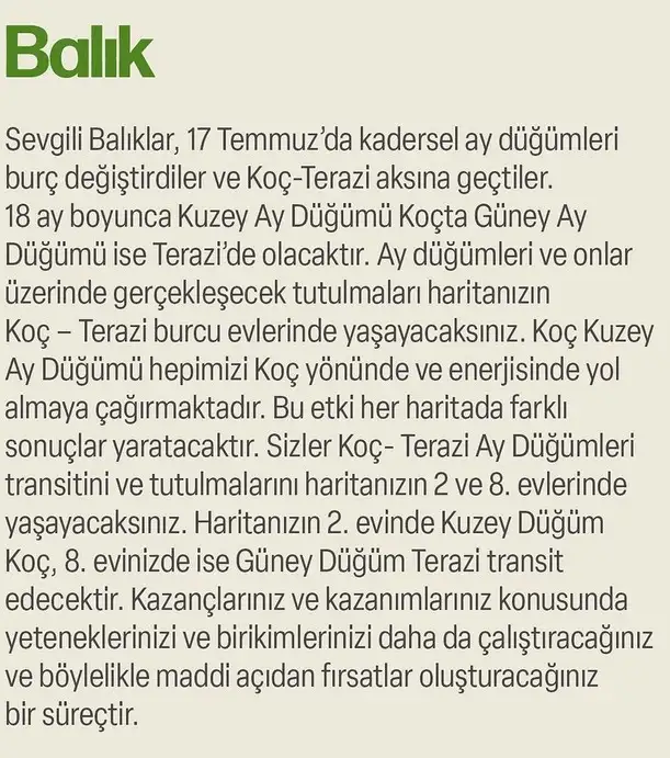 ay47 (24).webp