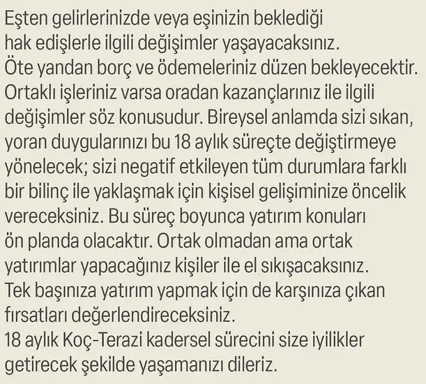 ay47 (25).webp