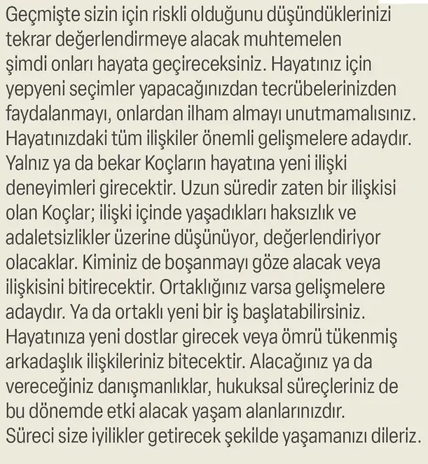 ay47 (3).webp