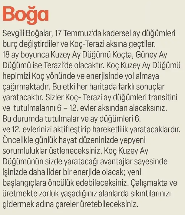 ay47 (4).webp