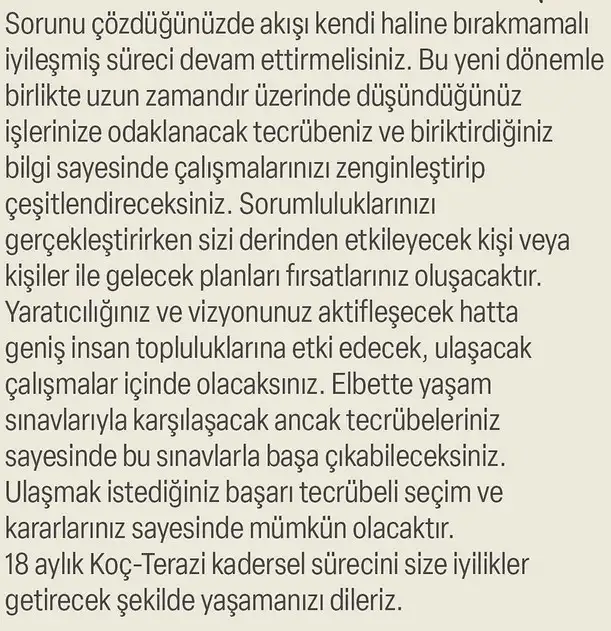 ay47 (5).webp