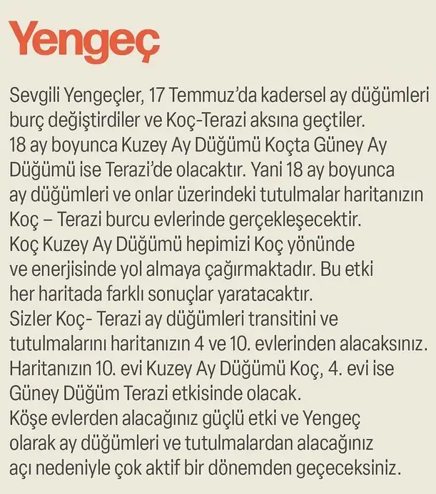 ay47 (8).webp