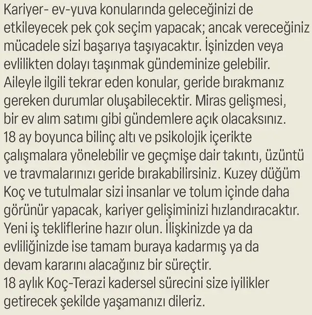 ay47 (9).webp