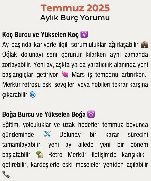 ay5 (1).webp
