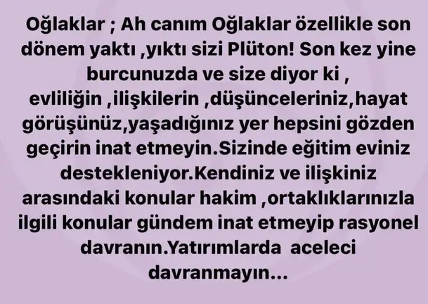 ay5 (10).webp