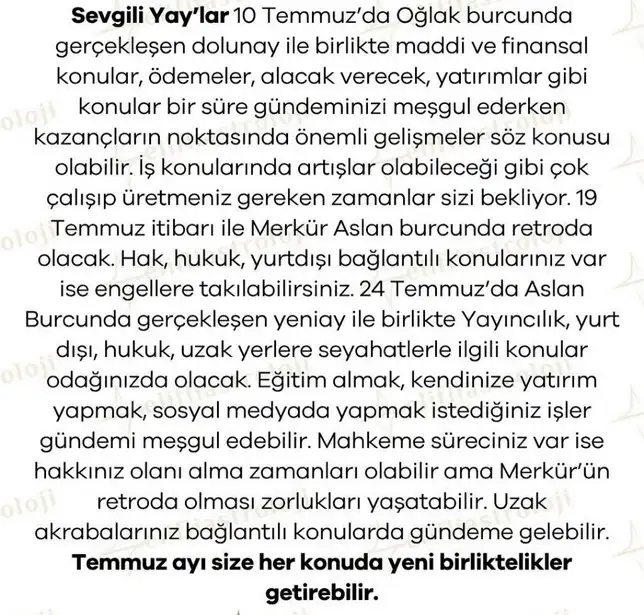 ay5 (10).webp