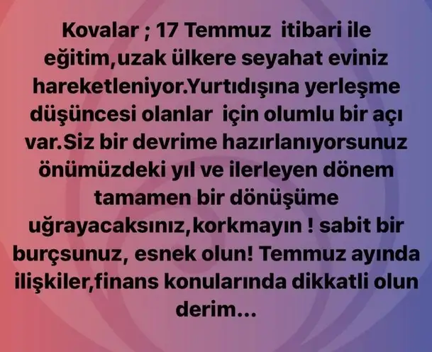 ay5 (11).webp