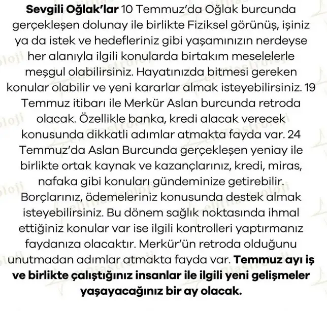 ay5 (11).webp