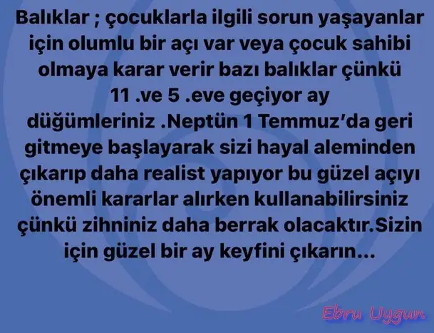 ay5 (12).webp