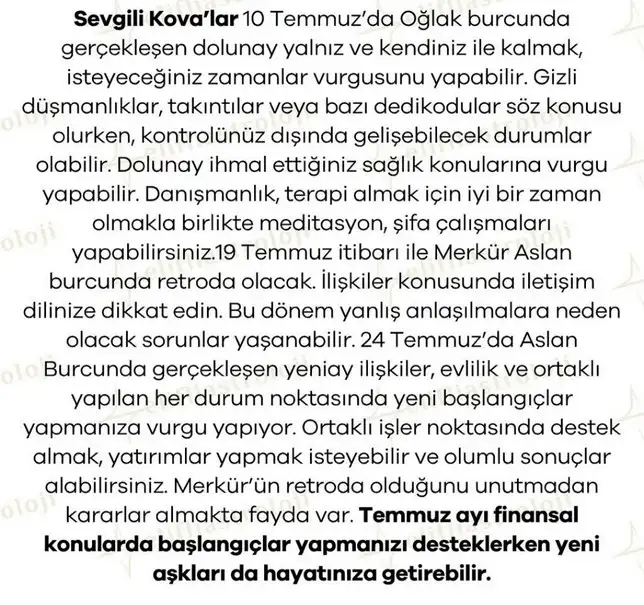 ay5 (12).webp