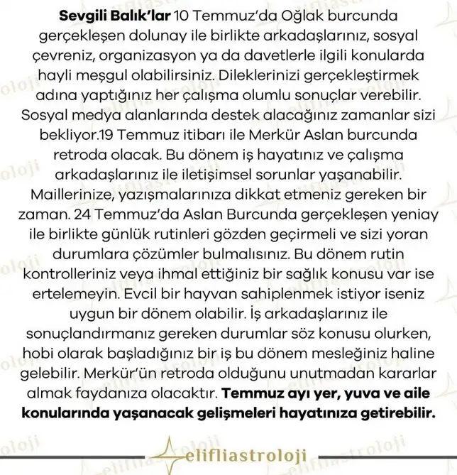 ay5 (13).webp