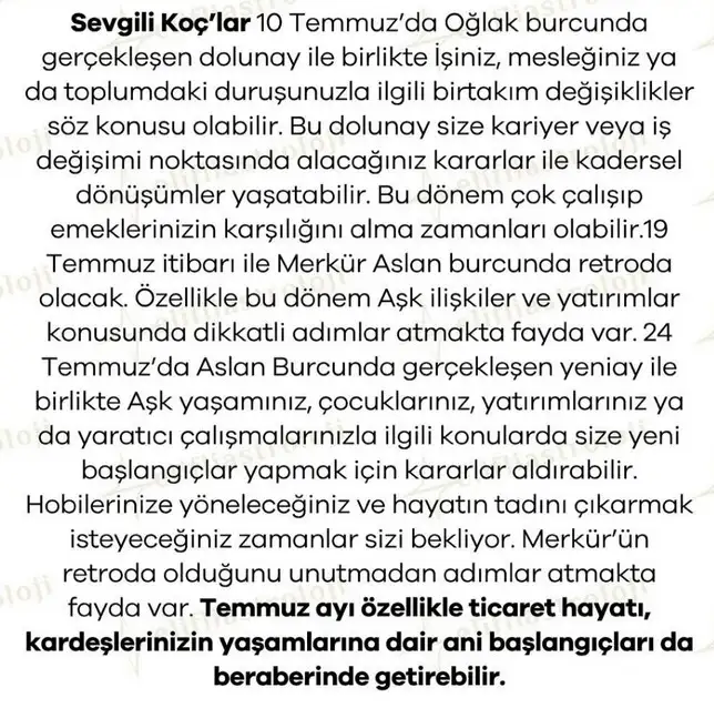 ay5 (2).webp